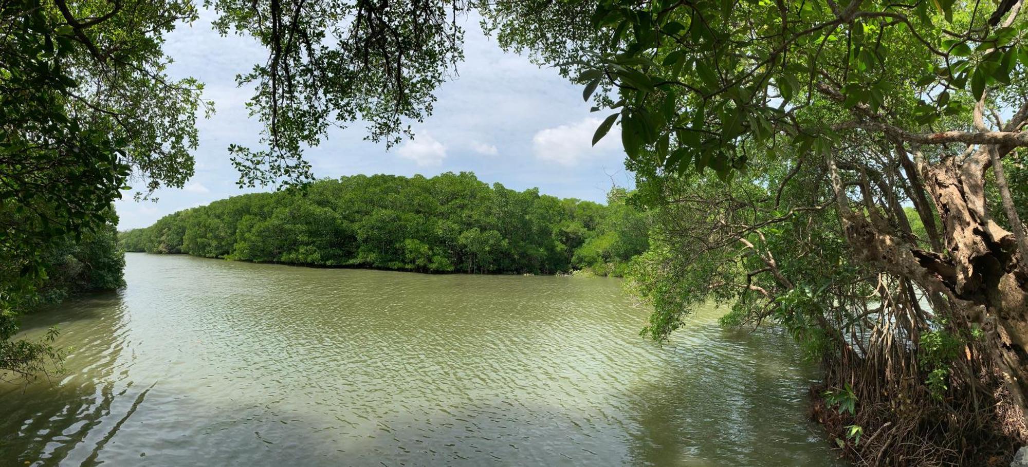 טנגלה Villa De Lagoon View מראה חיצוני תמונה