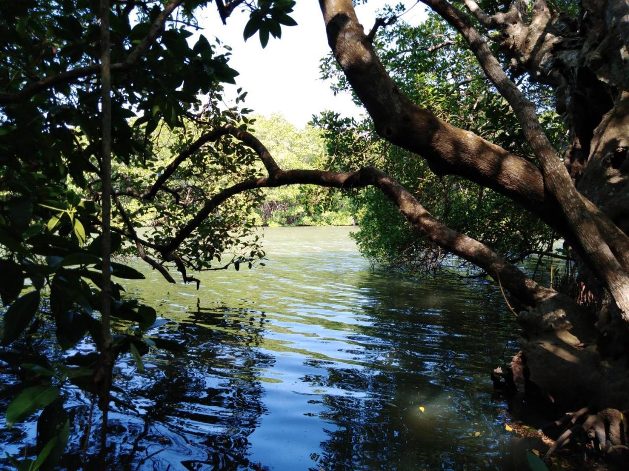 טנגלה Villa De Lagoon View מראה חיצוני תמונה